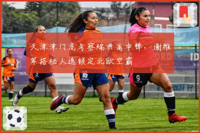 天津津门虎考察瑞典高中锋，谢维军搭档人选锁定北欧空霸
